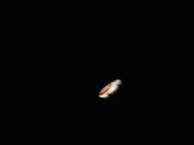 IMG_5115.JPG