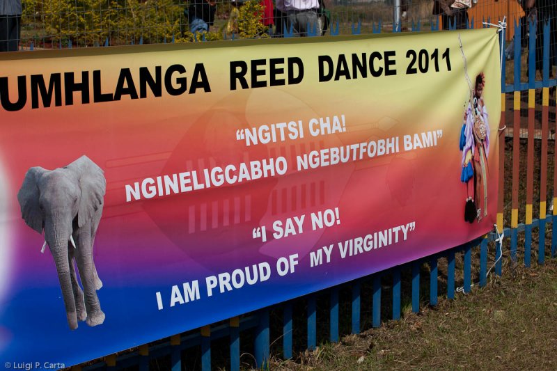 Reed Dance 2011