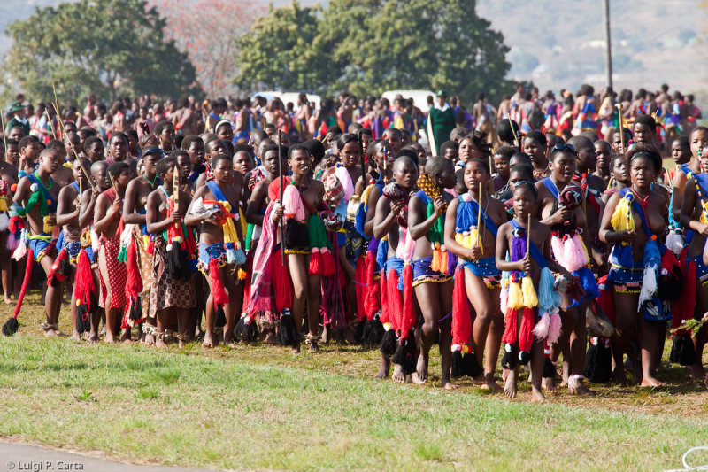Reed Dance 2011