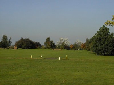 Image08.jpg