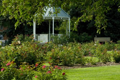 Gazebo in the Rose Garden Original