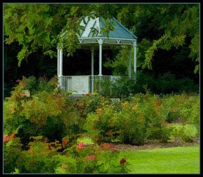 Gazebo in the Rose Garden vr 1