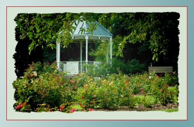 Gazebo in the Rose Garden vr  2