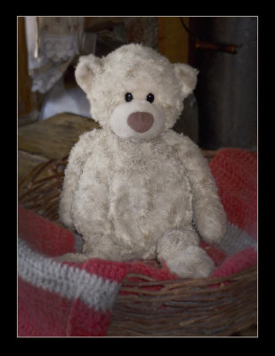 Teddy Bear Version 3