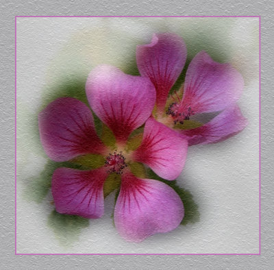 Late Flower Version 2