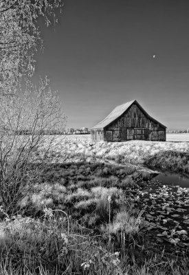 Old-barn-by-slough-1.jpg