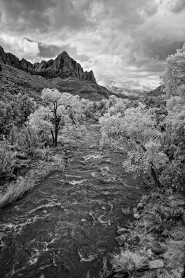 Watchman-IR-upload.jpg