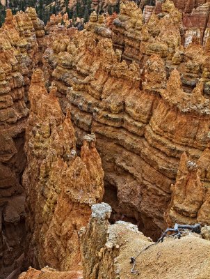 Bryce-close-up-3-upload.jpg