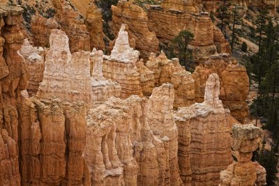 Bryce-Close-up-6-upload.jpg