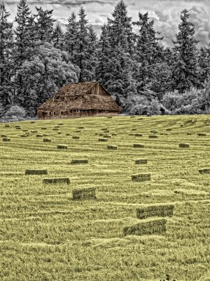 old-rickety-barn-colorized-IR-1-sharpened.jpg