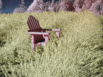 chair-in-lavende-rcolor-IR-1.jpg
