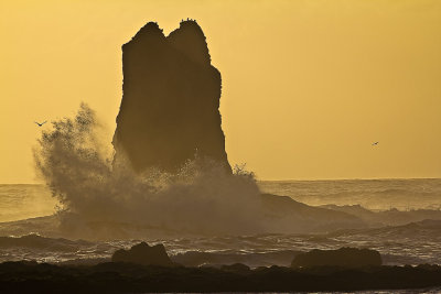 Crashing-surf-1-web.jpg