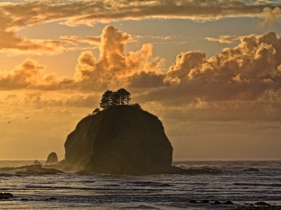 Sea-stack-slight-crop-sharpened-web.jpg