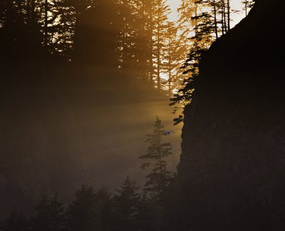 Sun-rays-1-web.jpg