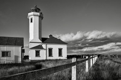 Poin-tWilson-Light-2-BW-web.jpg