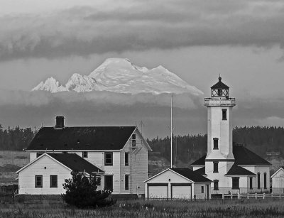 Point-Wilson-Light-2-BW-web.jpg