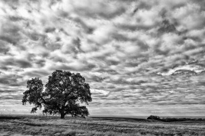Table-mtn-top-unsharpened-BW-web.jpg