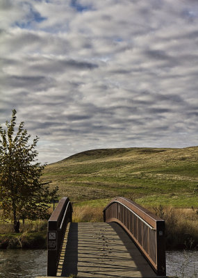 Forebay-bridge-web.jpg
