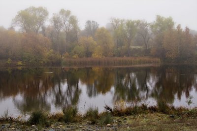 Along-the-feather-river-2-foggy-web.jpg
