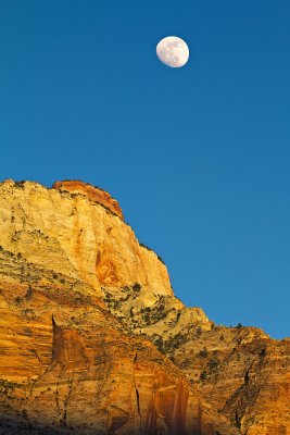 Zion-Moonrise-web.jpg