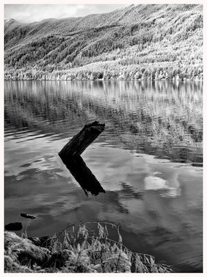 log-in-the-lake-IR-web.jpg