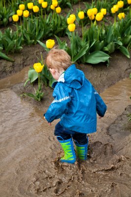 fun-in-the-tulips-web.jpg