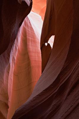 L-Antelope2.jpg