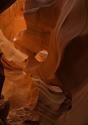 L-Antelope3.jpg