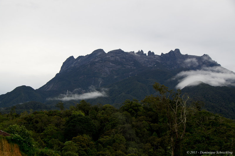 Mt. Kinabalu