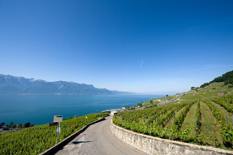 Lake Geneva