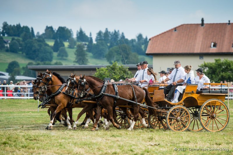 Quadrille Campagnard