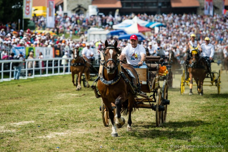 Course de voitures  4 roues, 1 cheval