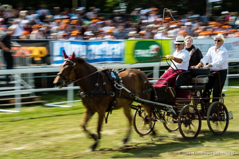 Course de voitures  4 roues, 1 cheval