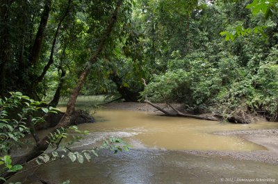 Danum Valley