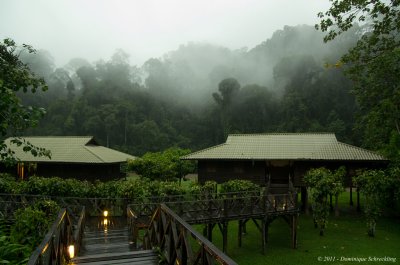 Danum Rainforest Lodge