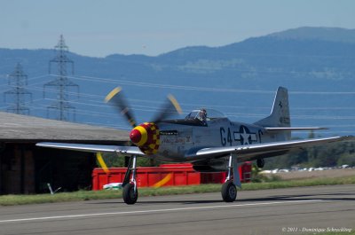P-51D Mustang