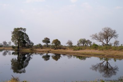 Mudumu Game Reserve