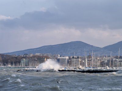 Geneva