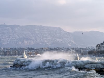 Geneva