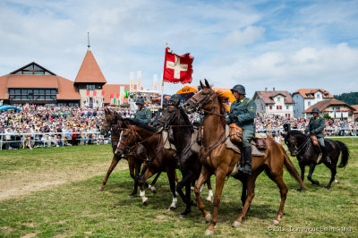 Escadron de cavalerie suisse 1972