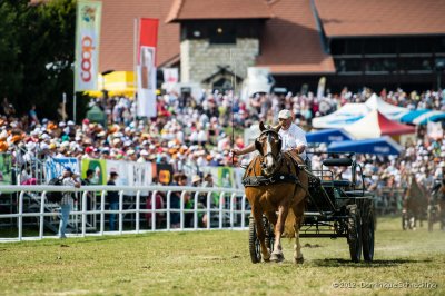 Course de voitures  4 roues, 1 cheval