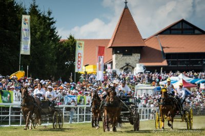 Course de voitures  4 roues, 1 cheval