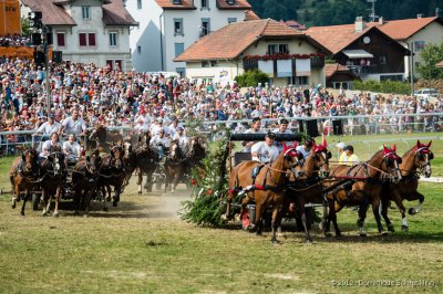 Course de chars  4 chevaux