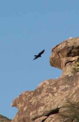 PICT0129.JPG