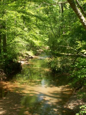 Kennesaw Mountain National Park