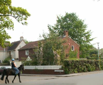 Spotted on our walk in Sandwich