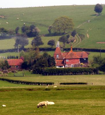 taken from the train leaving Sandwich