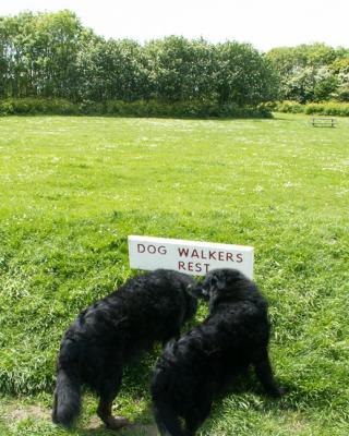 Dog Walkers Rest, seen on our walk