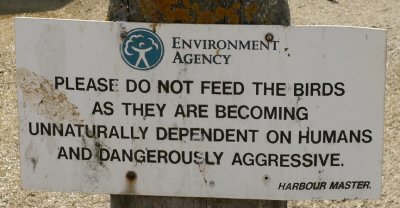 Sign in Rye warning us not feed the gulls