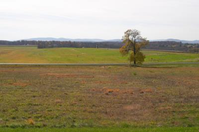 Gettysburg Field.jpg